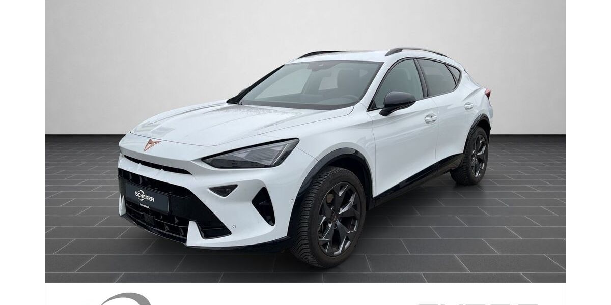 Cupra Formentor 34.739 km 31.290 &euro; Heidelberg 69123