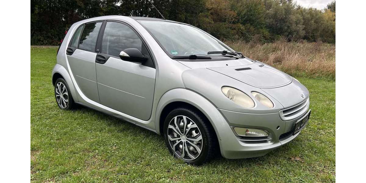 Smart forFour 165.000 km 1.000 &euro; Ludwigshafen 67063