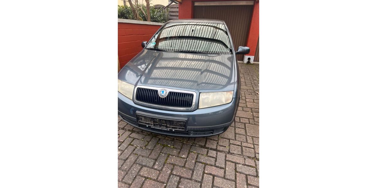 Skoda Fabia 171.940 km 650 &euro; Limburgerhof 67117