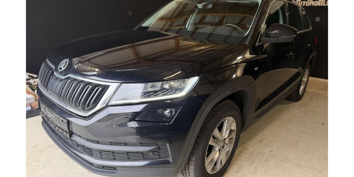 Skoda Kodiaq 188.000 km 19.635 &euro; Heidelberg 69123