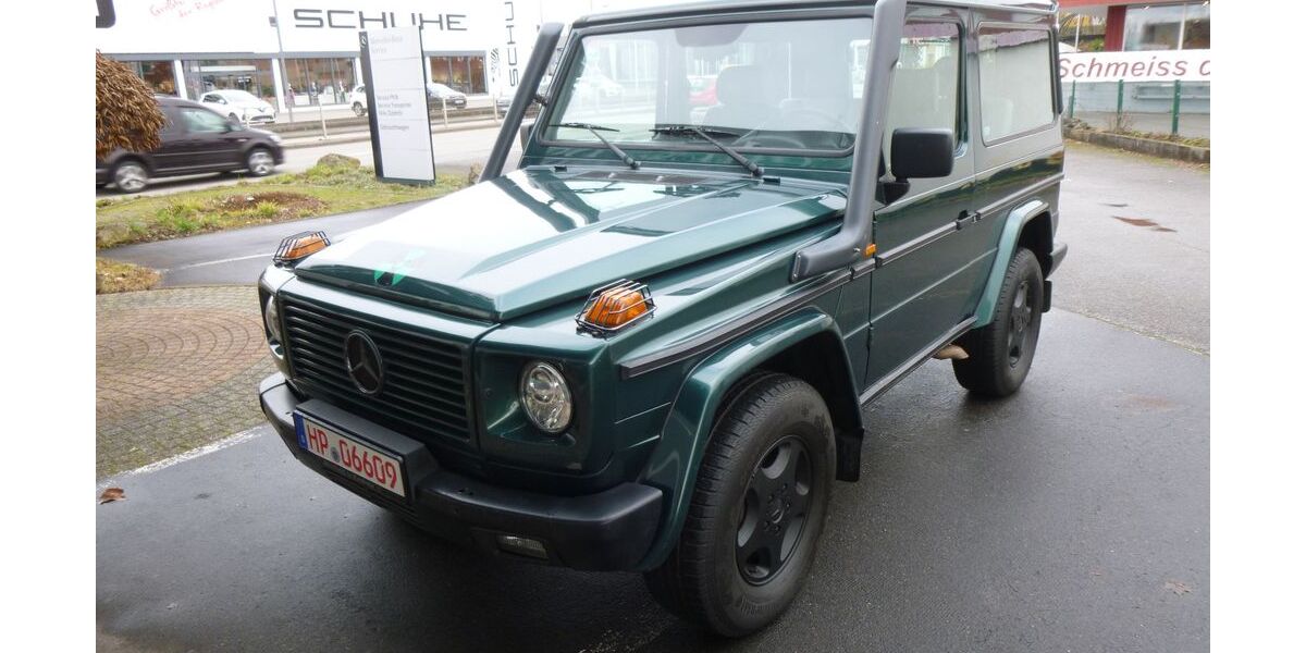 Mercedes-Benz G 320 268.000 km 29.000 &euro; Viernheim 68519