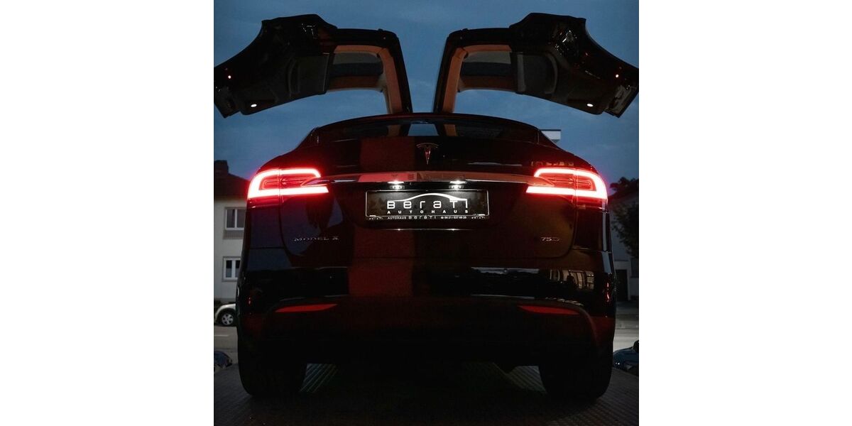 Tesla Model X 76.000 km 55.400 &euro; Ludwigshafen 67063
