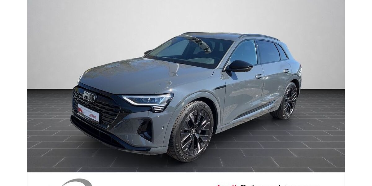 Audi Q8 e-tron 32.457 km 51.900 &euro; Ludwigshafen 67063