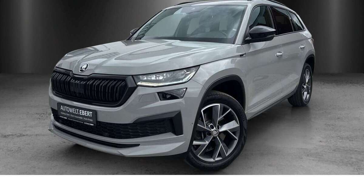 Skoda Kodiaq 75.600 km 36.490 &euro; Heidelberg 69123