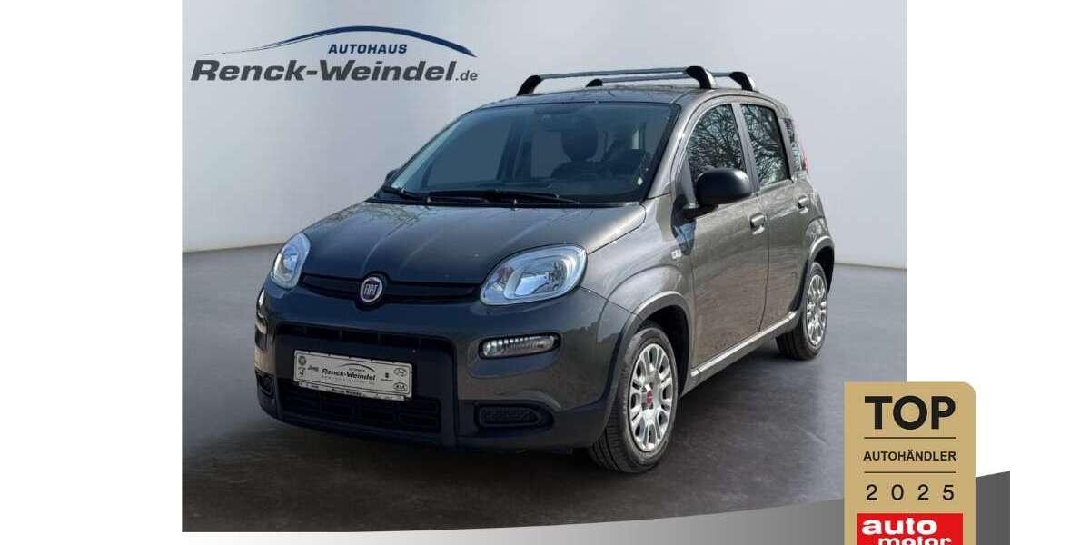 Fiat Panda 6.441 km 13.389 &euro; Ludwigshafen 67071