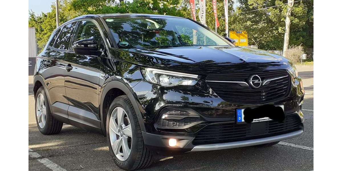 Opel Grandland X 102.000 km 15.000 &euro; frankenthal mörsch 67227