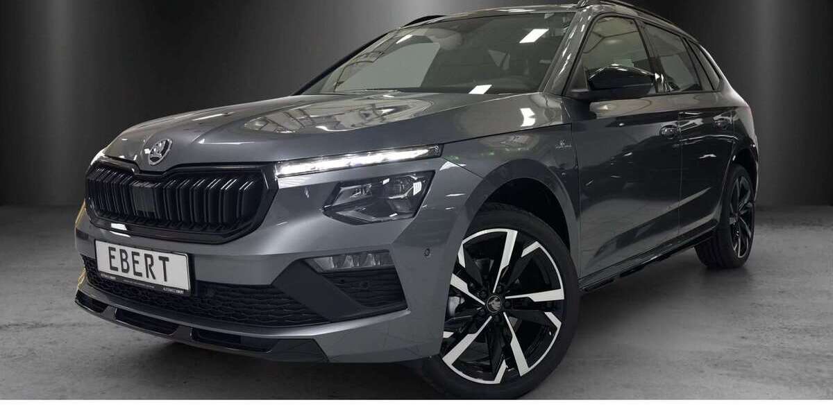 Skoda Kamiq 4.999 km 27.480 &euro; Sandhausen 69207