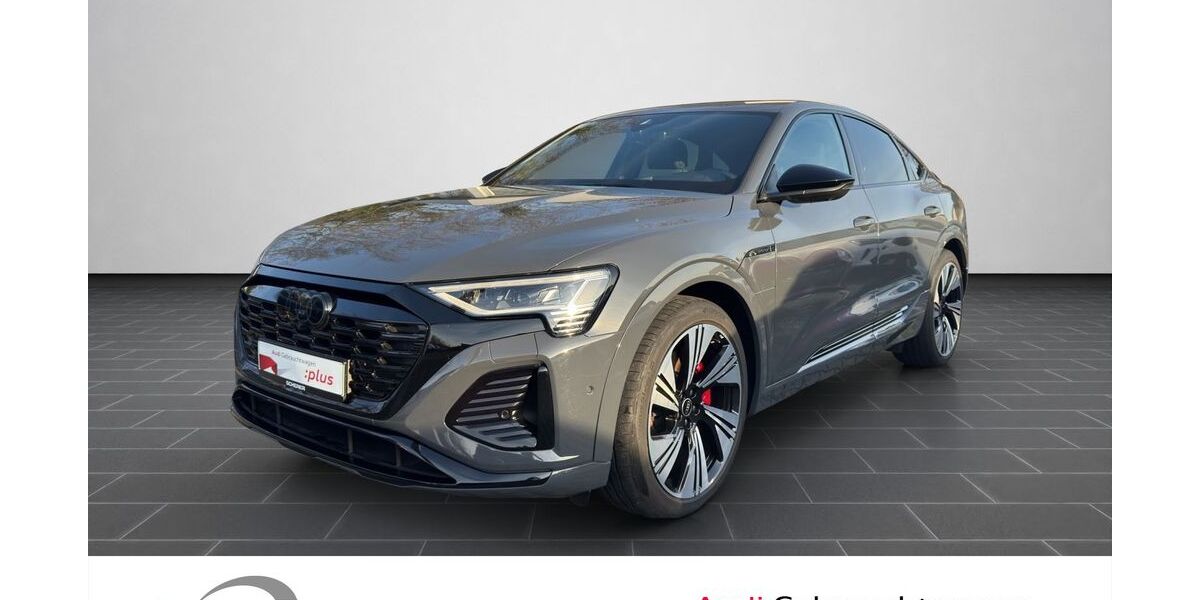 Audi Q8 e-tron 18.364 km 59.990 &euro; Ludwigshafen 67063