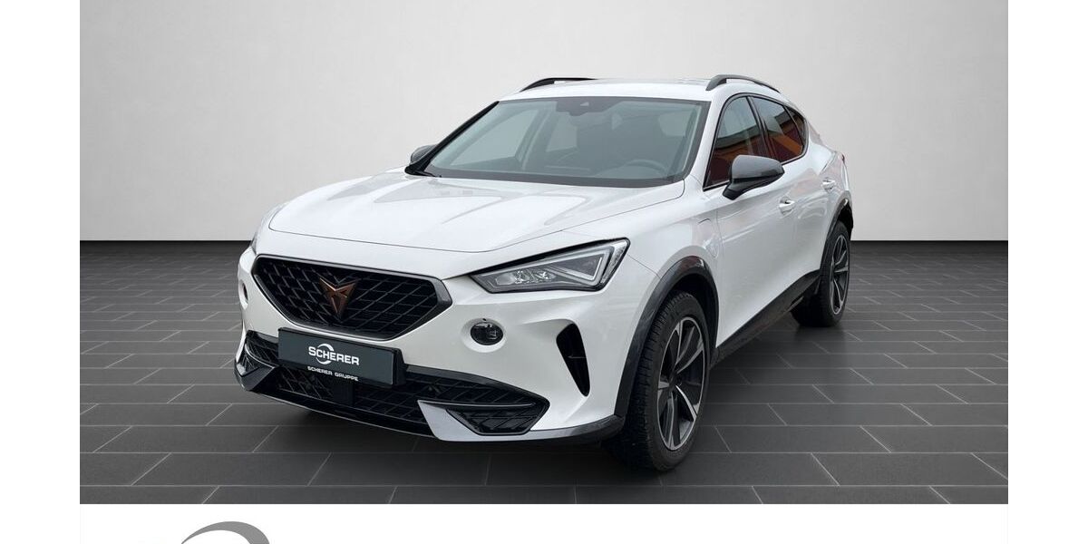 Cupra Formentor 57.434 km 25.990 &euro; Heidelberg 69123