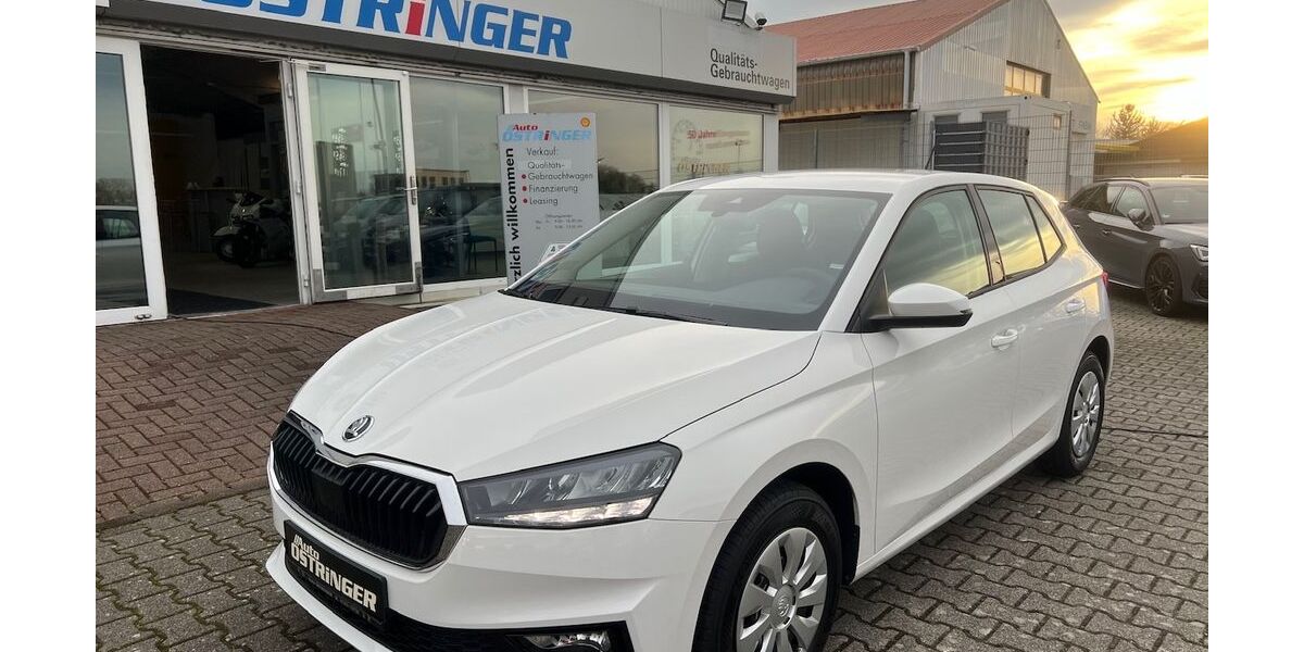 Skoda Fabia 3.500 km 17.990 &euro; Östringen 76684