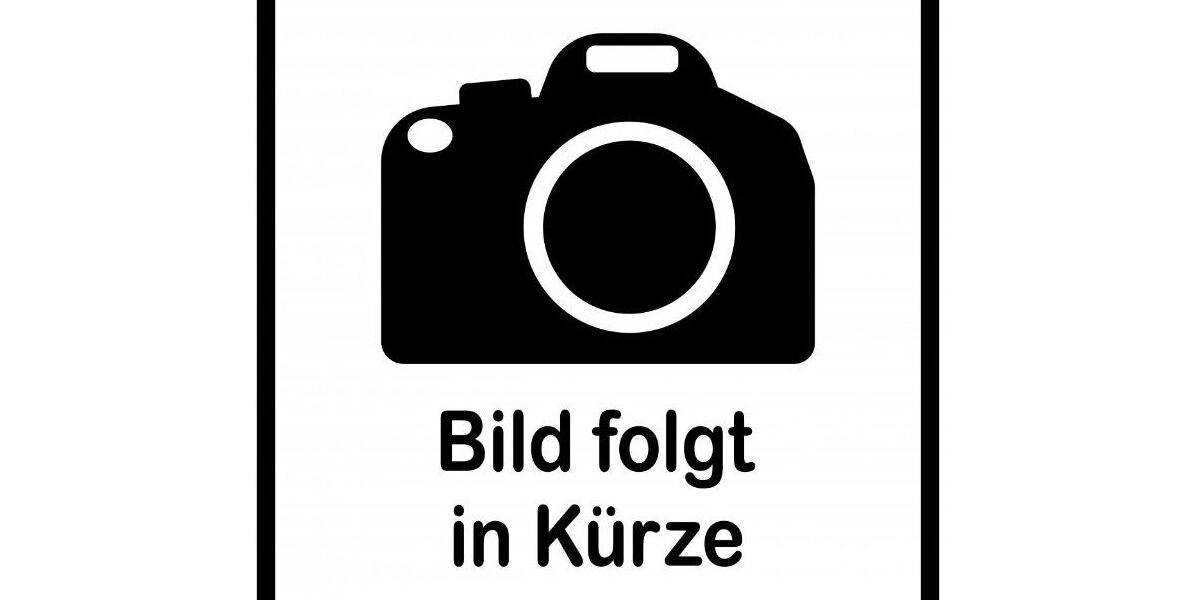 Ford EcoSport 22.206 km 15.900 &euro; Speyer 67346