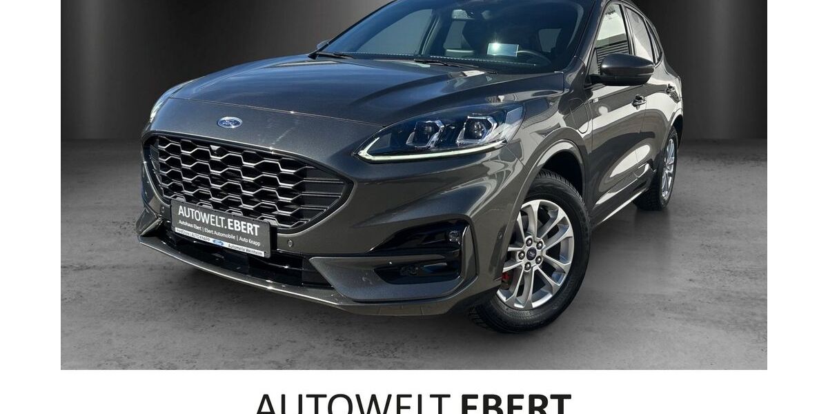 Ford Kuga 21.490 km 24.890 &euro; Frankenthal 67227