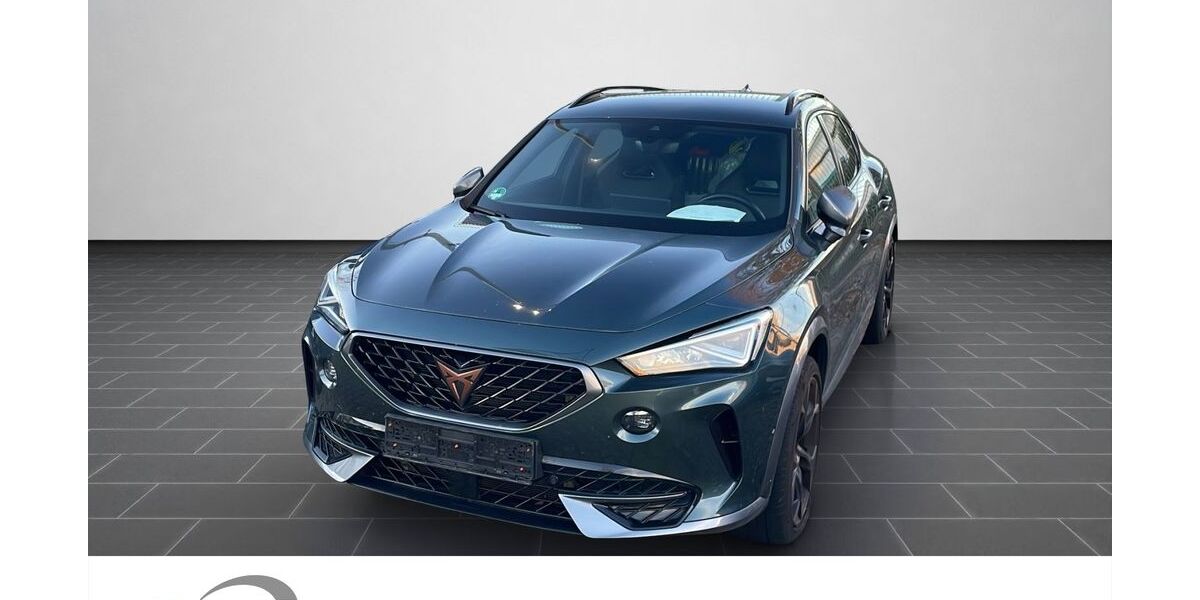 Cupra Formentor 96.420 km 22.900 &euro; Ladenburg 68526