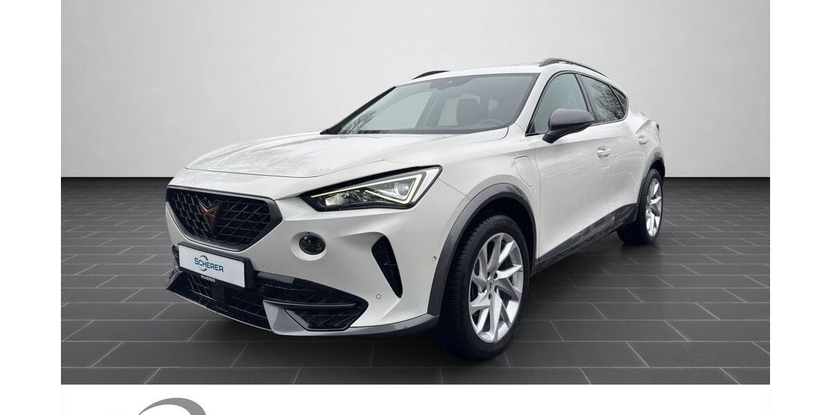 Cupra Formentor 33.133 km 25.900 &euro; Ludwigshafen 67063