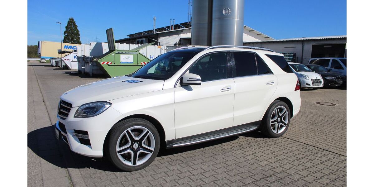 Mercedes-Benz ML 350 217.050 km 16.990 &euro; Hambrücken 76707