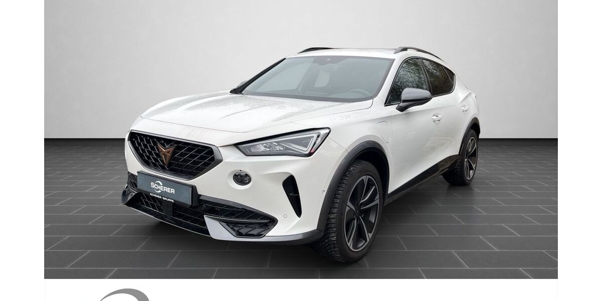 Cupra Formentor 32.356 km 25.990 &euro; Heidelberg 69123