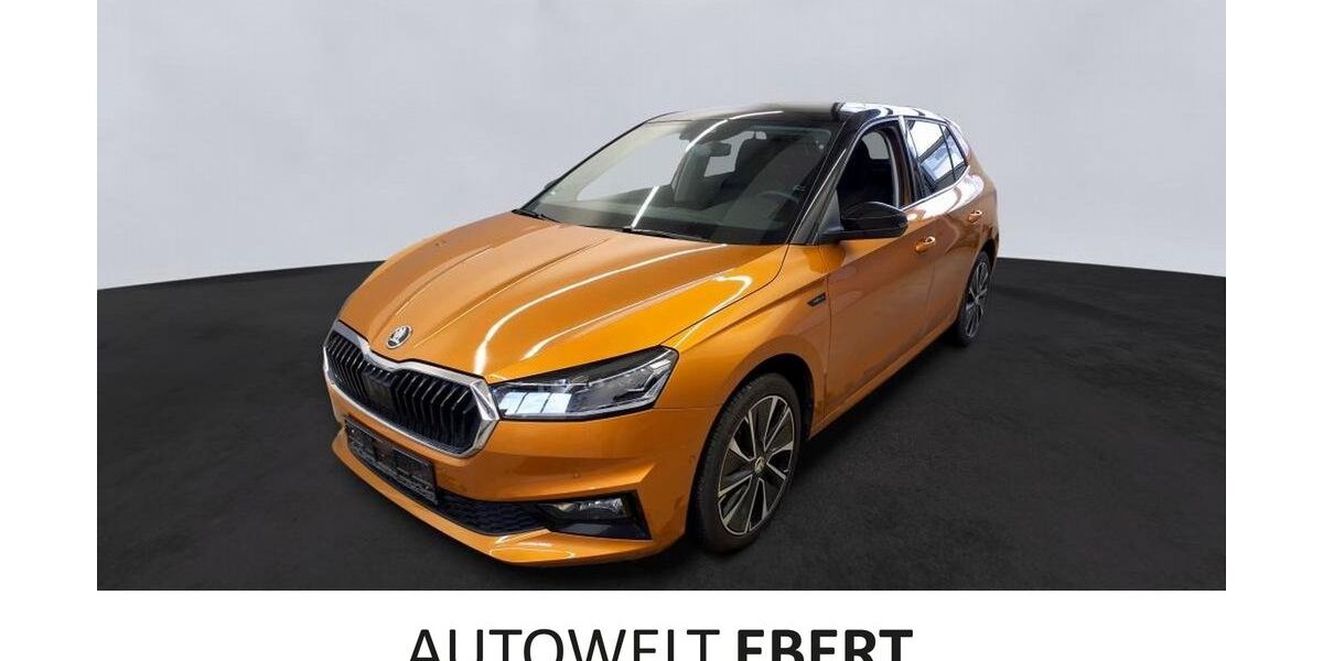 Skoda Fabia 49.500 km 18.690 &euro; Heidelberg 69123