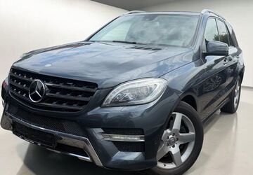 Mercedes-Benz ML 350 251.200 km 14.999 &euro; Speyer 67346