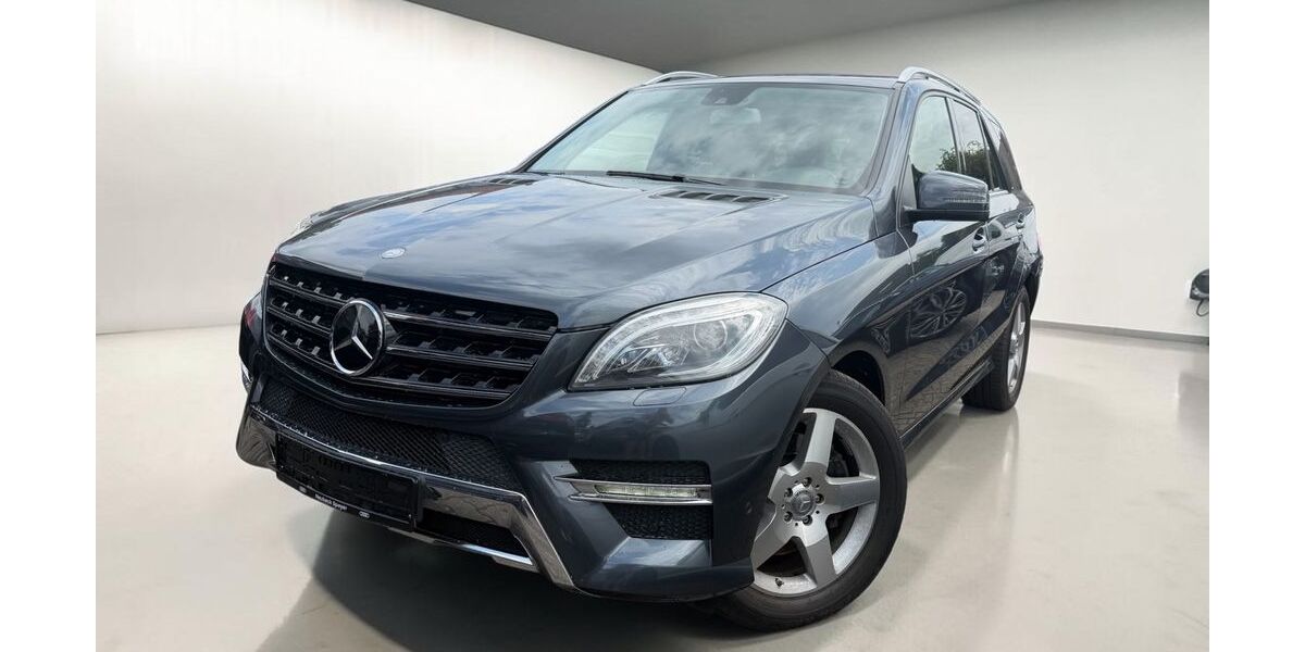 Mercedes-Benz ML 350 251.200 km 14.999 &euro; Speyer 67346