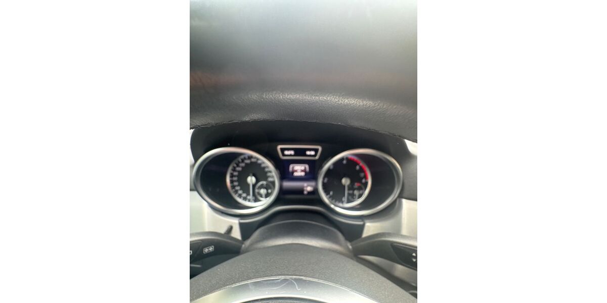 Mercedes-Benz ML 350 222.500 km 17.000 &euro; Waghäusel 68753