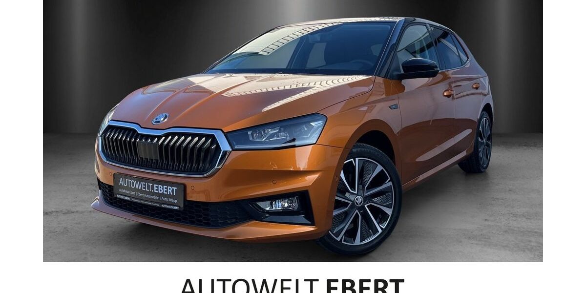 Skoda Fabia 49.500 km 18.690 &euro; Heidelberg 69123