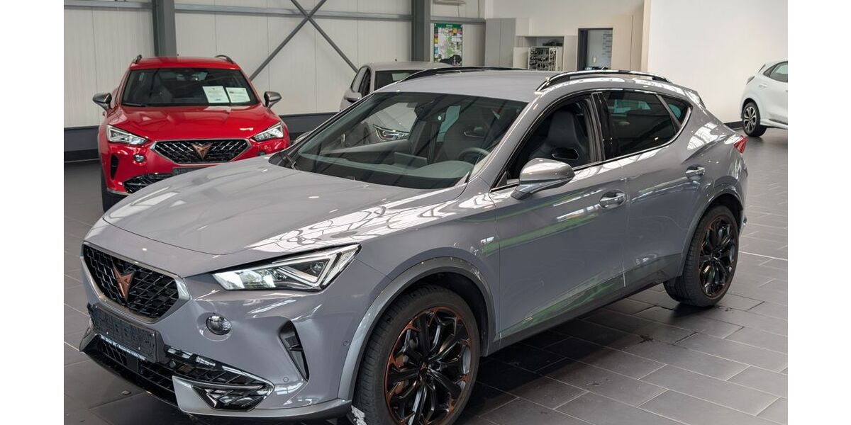 Cupra Formentor 99.000 km 28.900 &euro; Weinheim 69469