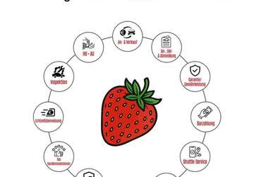 BMW 328 182.214 km 12.990 &euro; Mannheim 68219