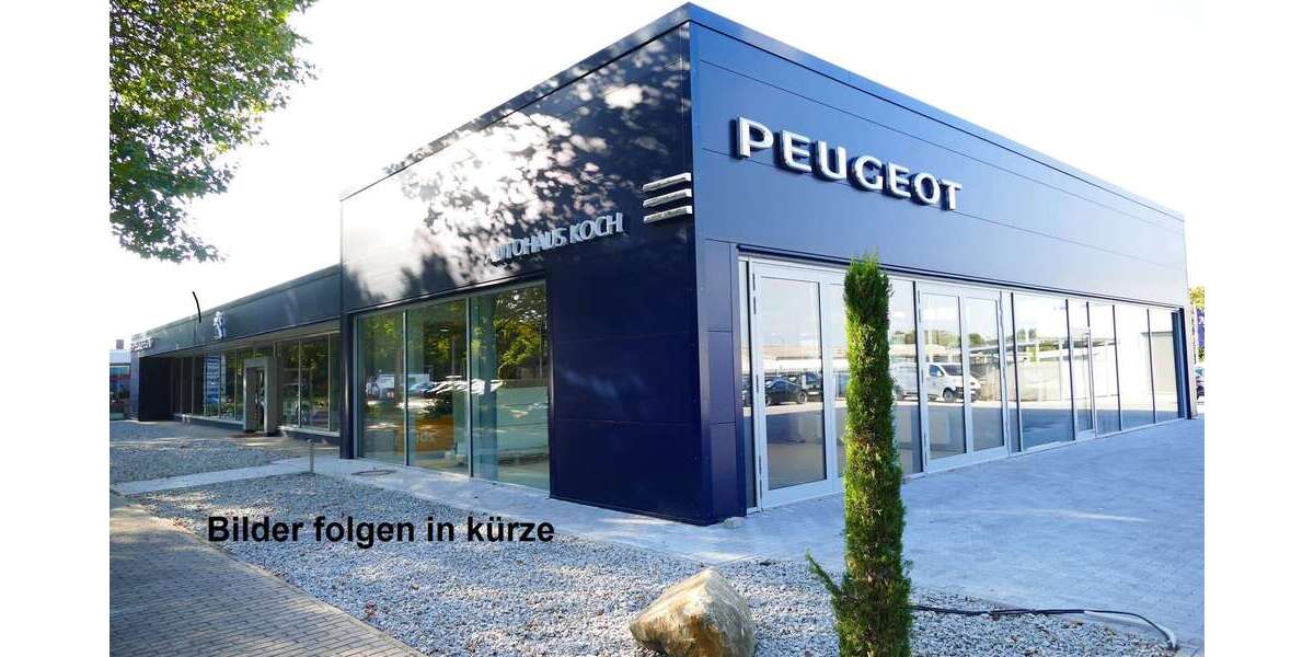 Peugeot 2008 72.969 km 17.490 &euro; Ludwigshafen 67071