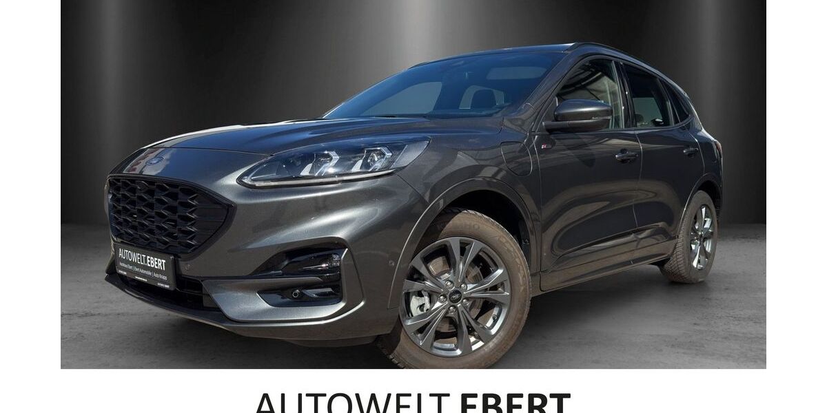 Ford Kuga 35.200 km 24.890 &euro; Hockenheim 68766