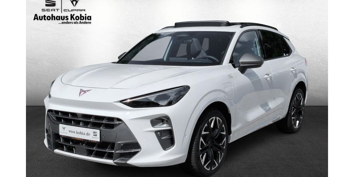 Cupra Terramar 22.485 km 52.890 &euro; Sinsheim 74889