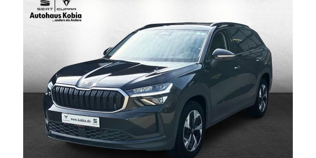 Skoda Kodiaq 21.345 km 45.900 &euro; Sinsheim 74889