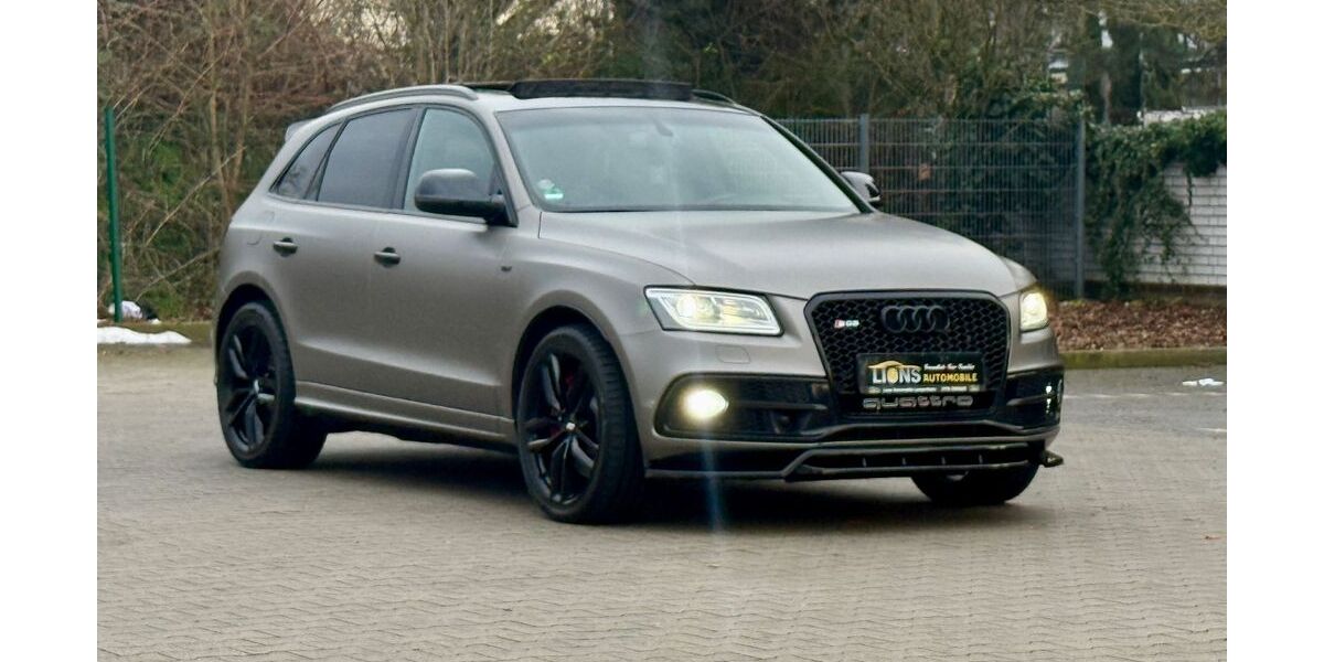 Audi SQ5 229.000 km 19.290 &euro; Lampertheim 68623