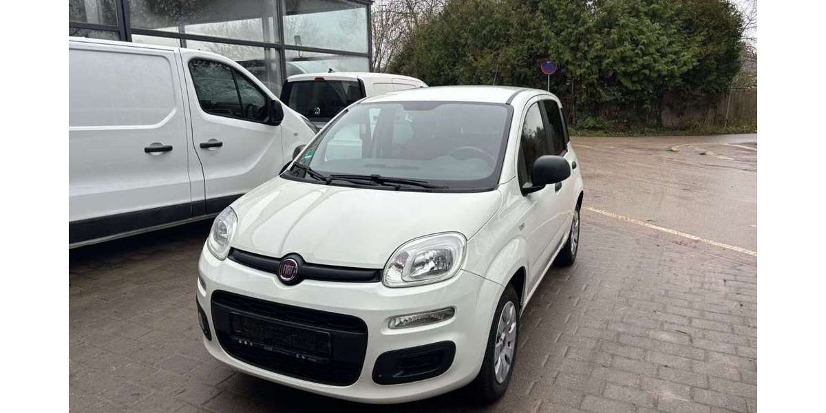 Fiat Panda 55.980 km 7.990 &euro; Frankenthal, Pfalz 67227