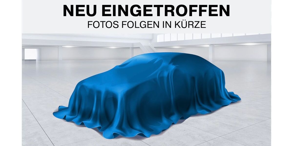 Fiat 500e 19.300 km 13.900 &euro; Hockenheim 68766