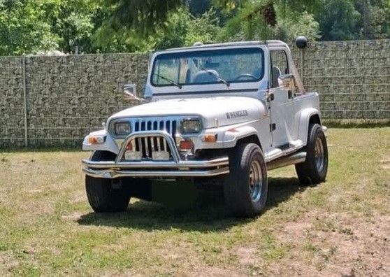 Jeep Wrangler 159.500 km 9.999 &euro; Ludwigshafen 67067