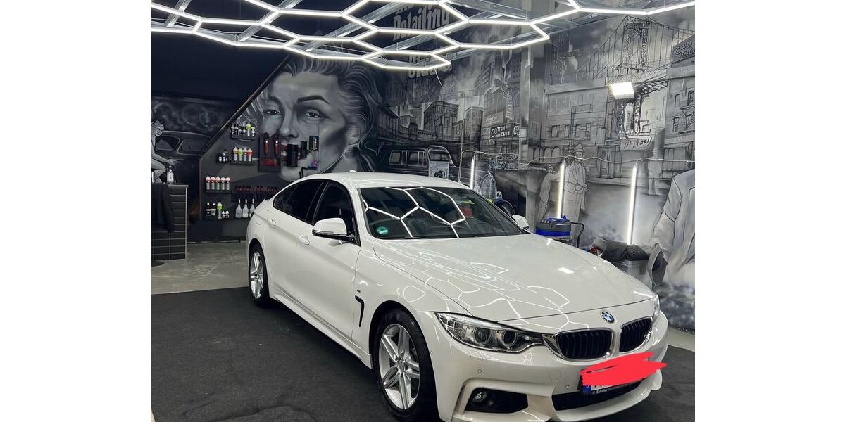 BMW 420 Gran Coupé 238.375 km 16.500 &euro; Speyer 67346
