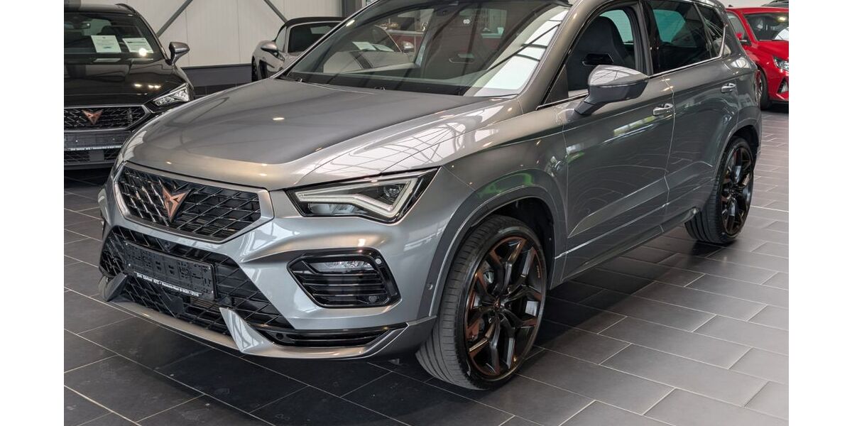 Cupra Ateca 64.000 km 30.900 &euro; Weinheim 69469