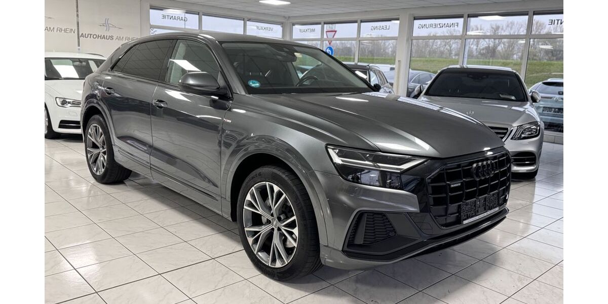 Audi Q8 195.000 km 41.990 &euro; Speyer 67346