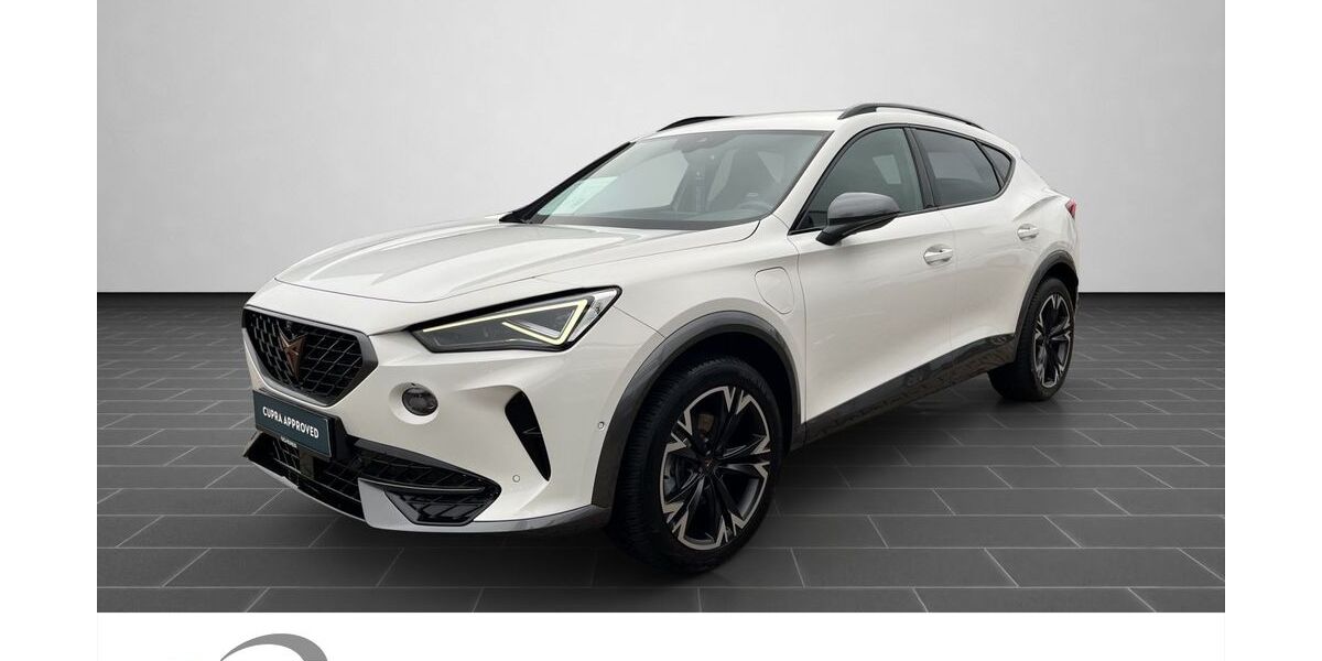 Cupra Formentor 12.461 km 29.700 &euro; Ladenburg 68526