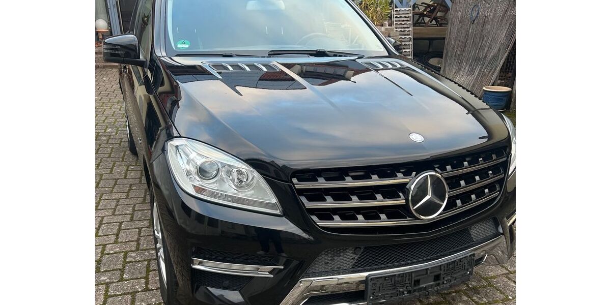 Mercedes-Benz ML 350 228.500 km 15.750 &euro; Römerberg 67354
