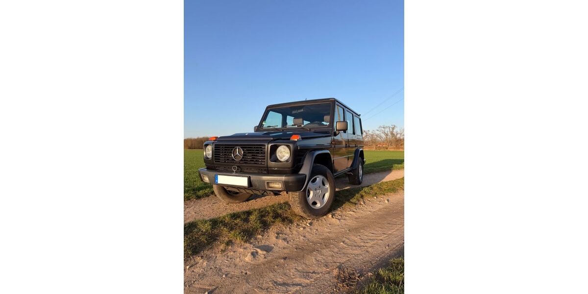 Mercedes-Benz G 320 304.000 km 34.850 &euro; Mannheim 68305