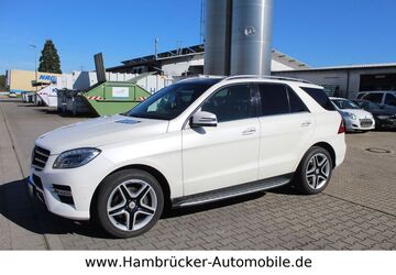 Mercedes-Benz ML 350 217.050 km 16.990 &euro; Hambrücken 76707