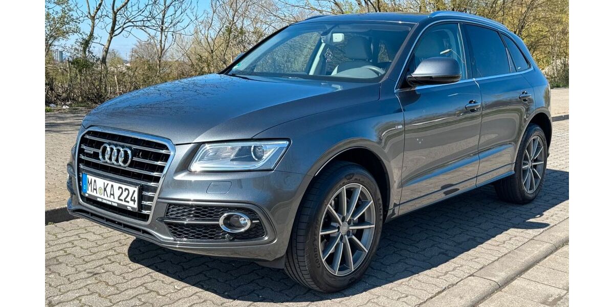 Audi Q5 137.994 km 18.990 &euro; Ludwigshafen am Rhein 67059