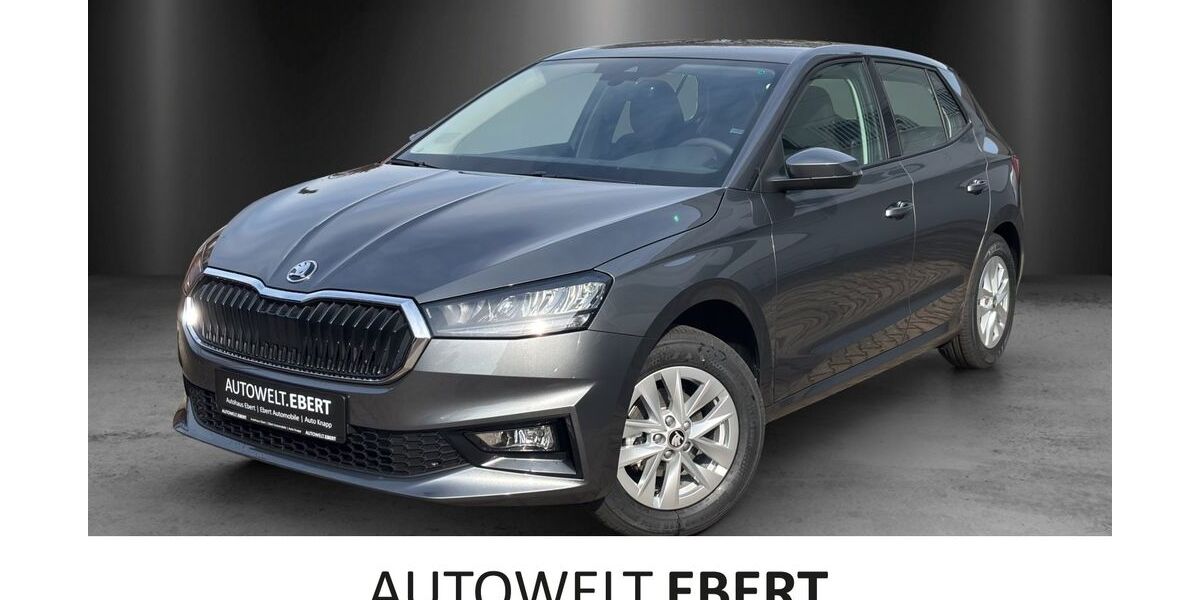 Skoda Fabia 4.999 km 20.590 &euro; Sandhausen 69207