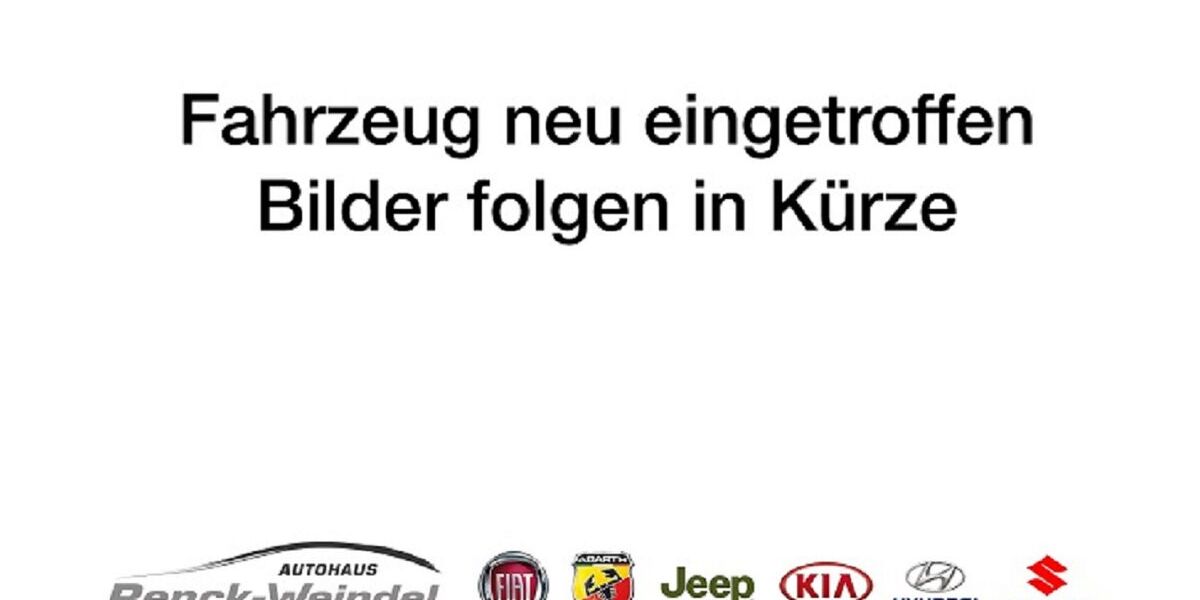 Fiat 500 31.688 km 12.989 &euro; Speyer 67346