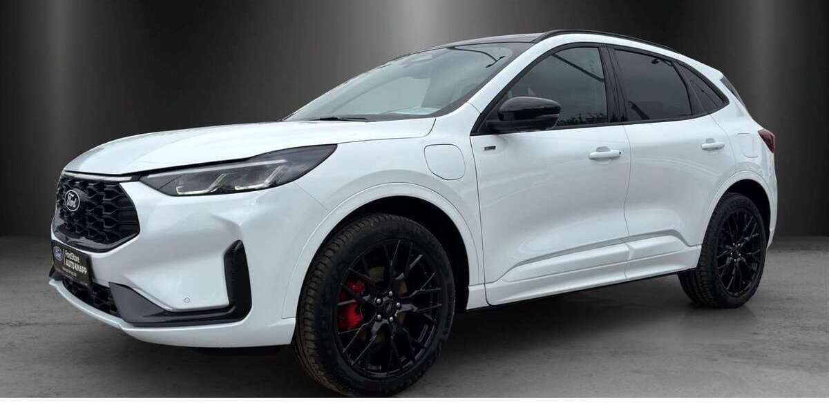 Ford Kuga 3.500 km 44.290 &euro; Weinheim 69469