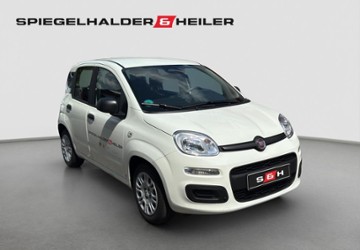Fiat New Panda 3.100 km 17.990 &euro; Heidelberg 69126