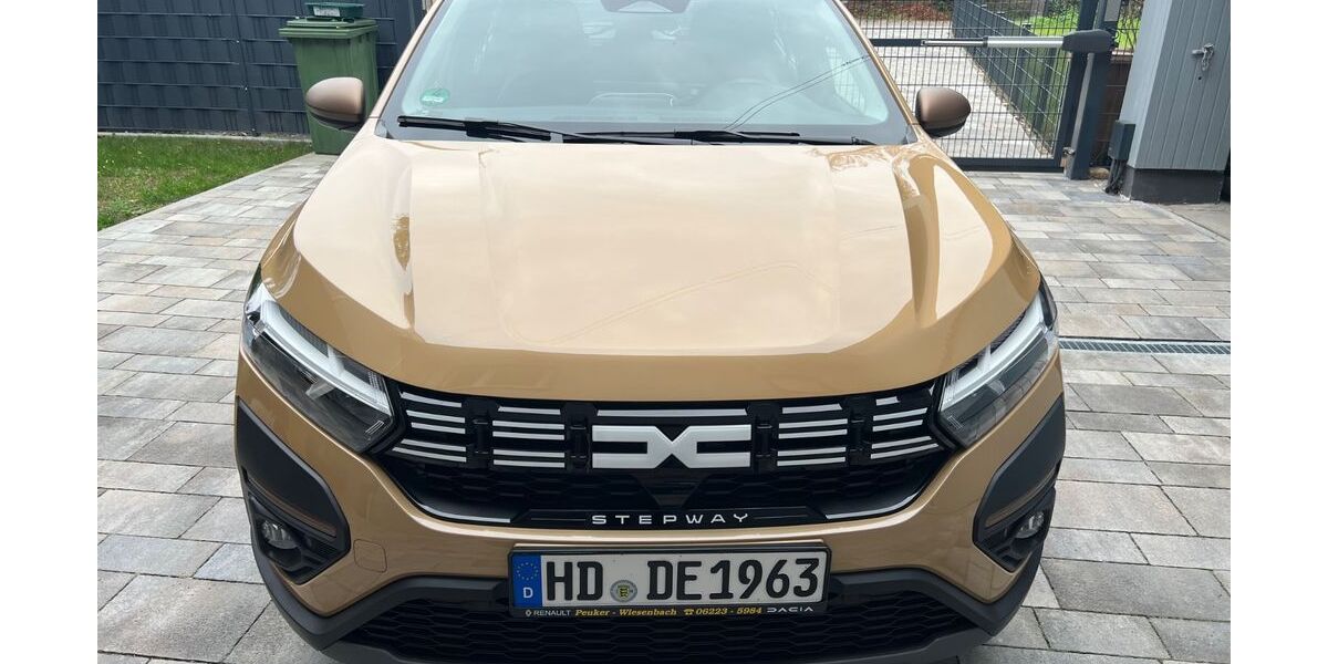 Dacia Sandero 5.900 km 17.990 &euro; Sinsheim 74889