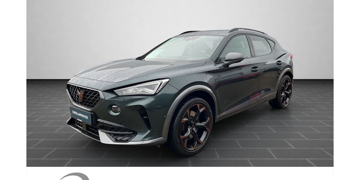 Cupra Formentor 54.771 km 27.700 &euro; Ladenburg 68526