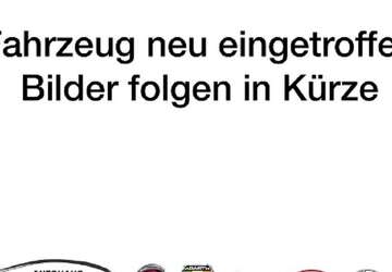 Fiat 500 36.230 km 12.989 &euro; Ludwigshafen 67071